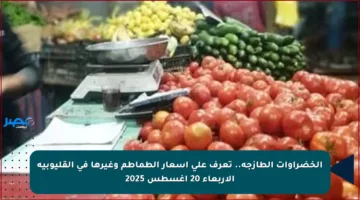 الخضراوات الطازجة.. تعرف على أسعار الطماطم وغيرها في القليوبية الأربعاء 20 أغسطس 2025